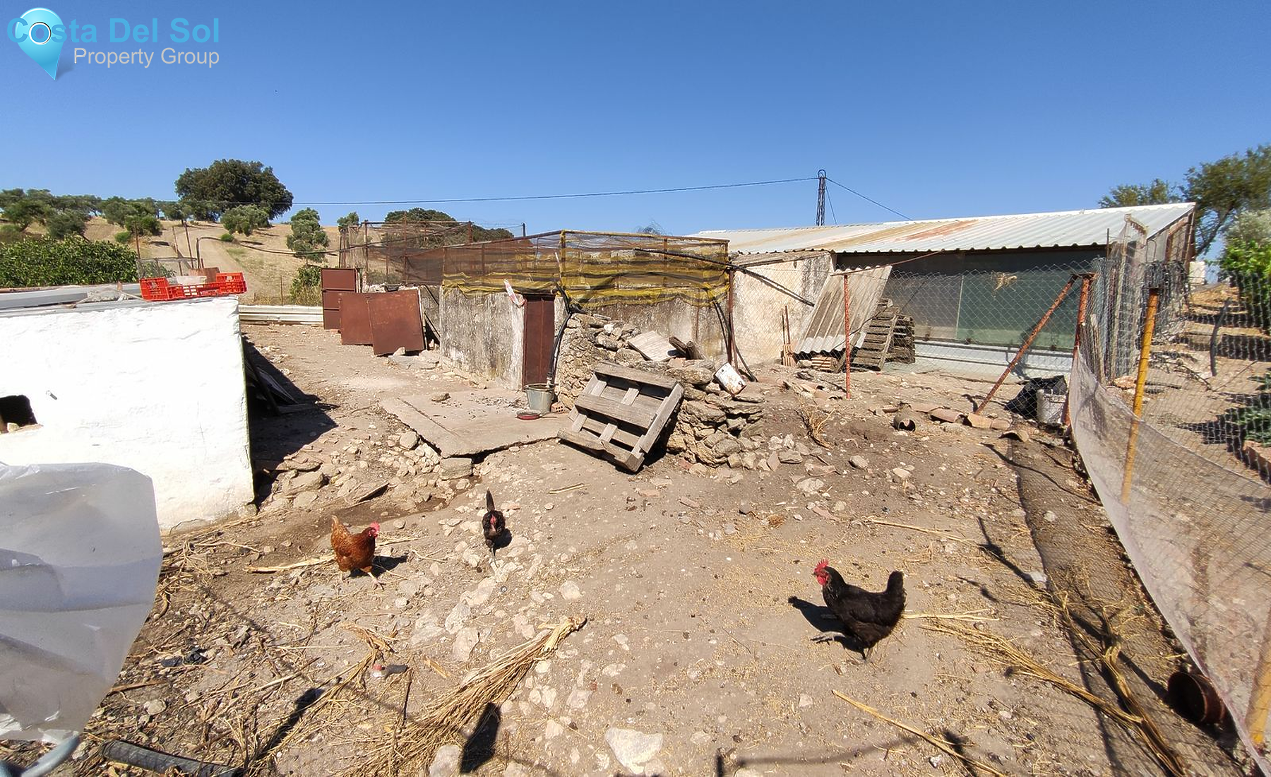 Finca - Cortijo in Ronda-1513503