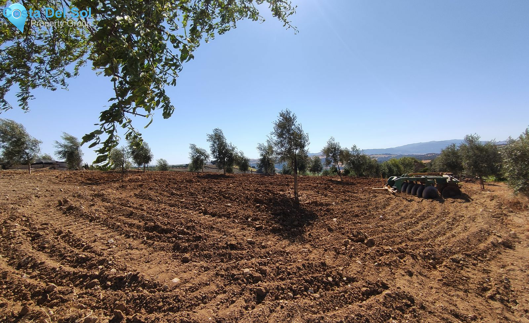 Finca - Cortijo in Ronda-1513494