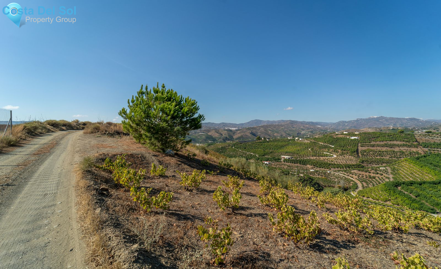 Finca - Cortijo in Vélez-Málaga-1219565