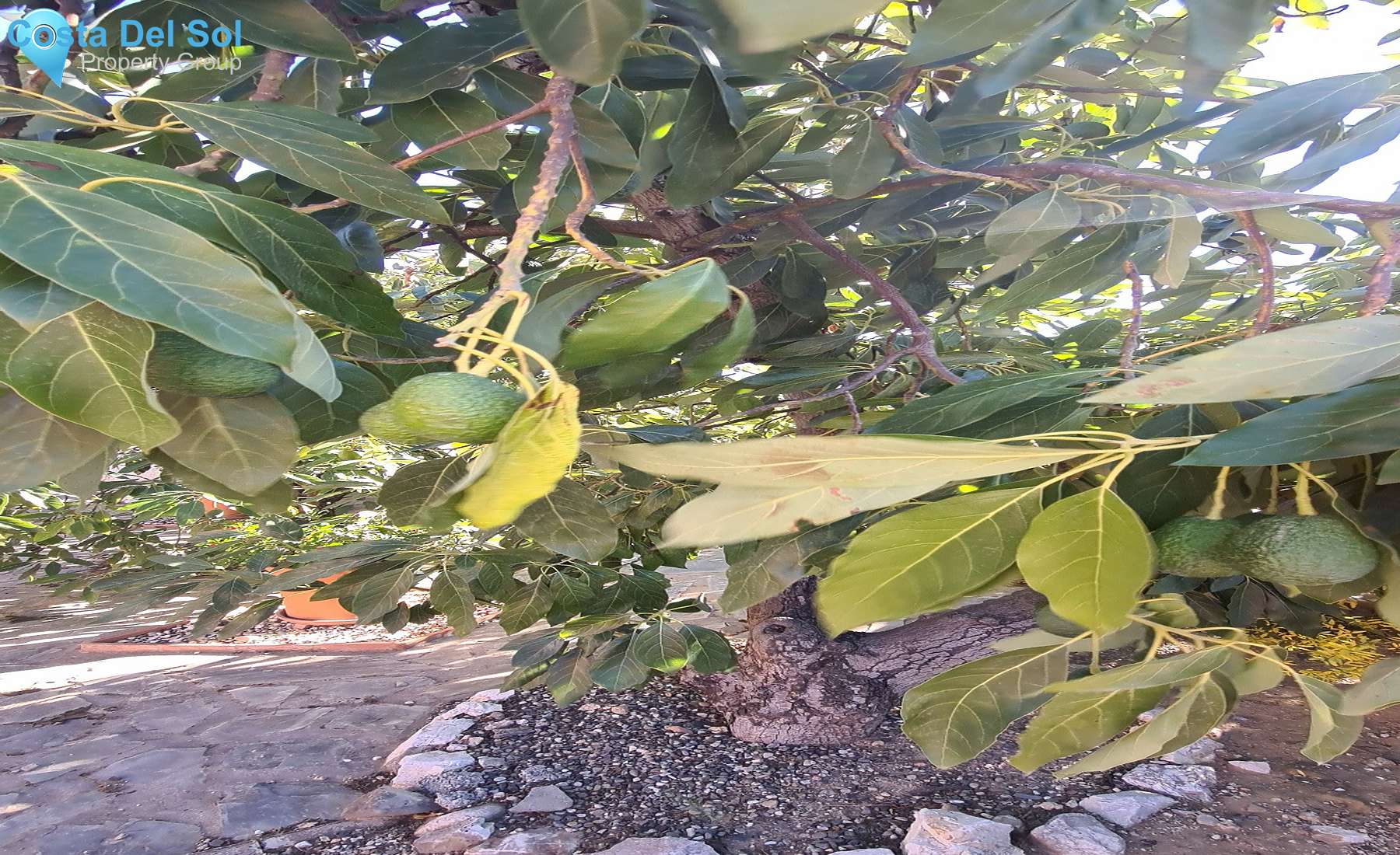 House in Alhaurín de la Torre-1324138