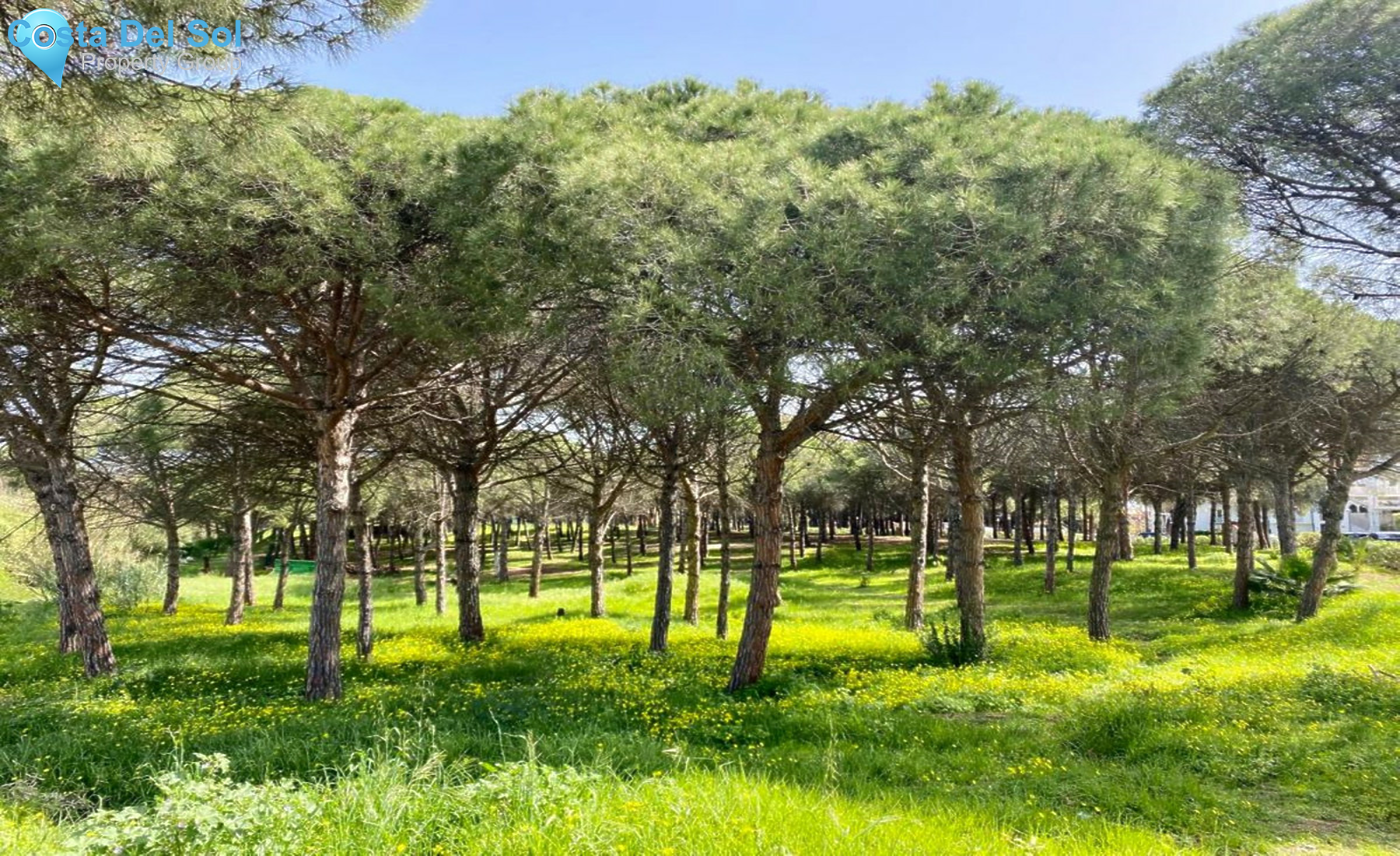 House in Benamara-1260897