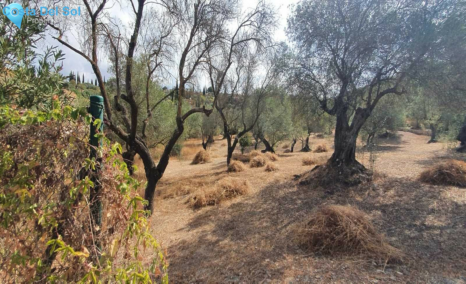 House in Coín-1501801