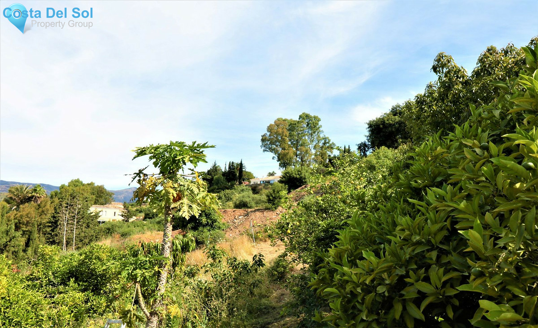 House in El Padron-1272318