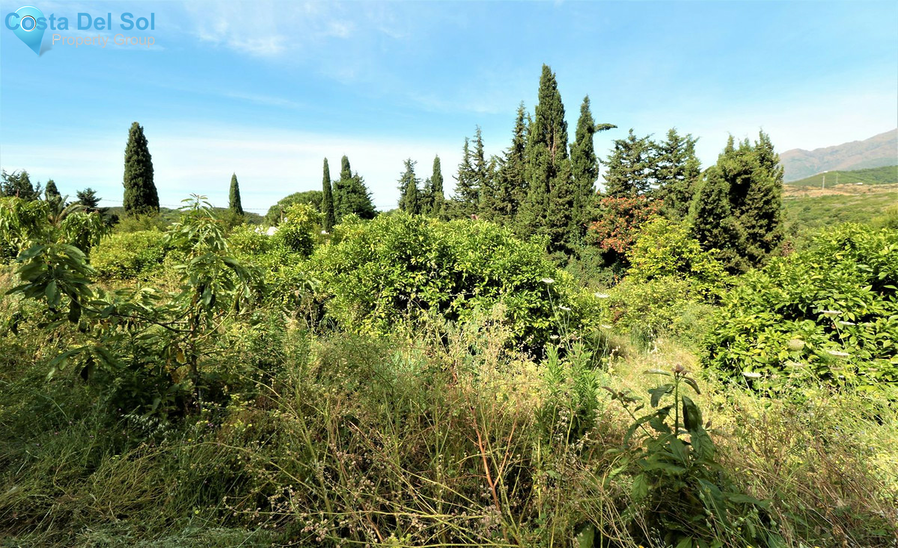 House in El Padron-1272320