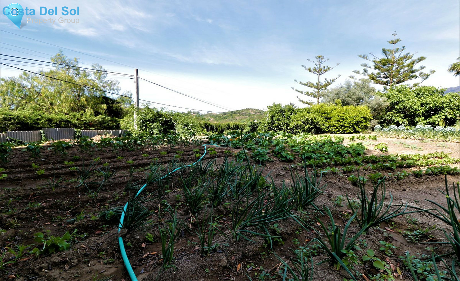 House in El Padron-1272323