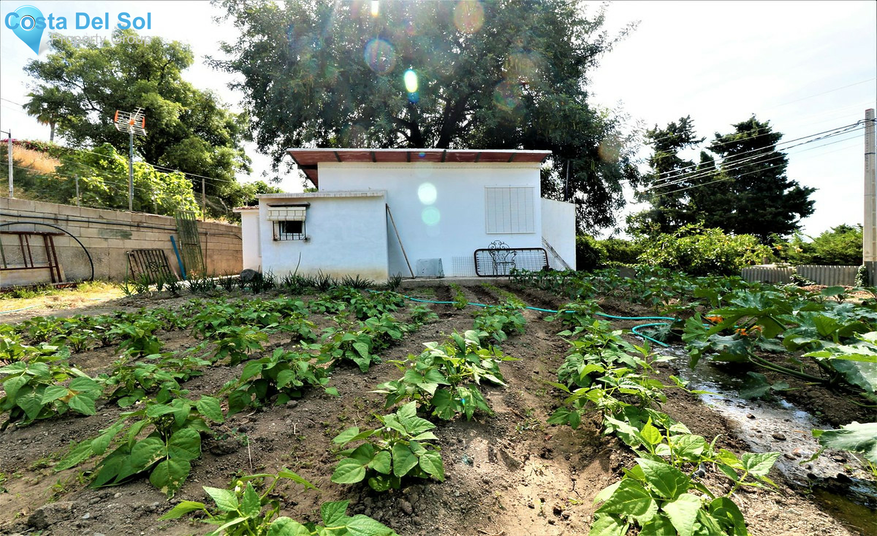 House in El Padron-1272326