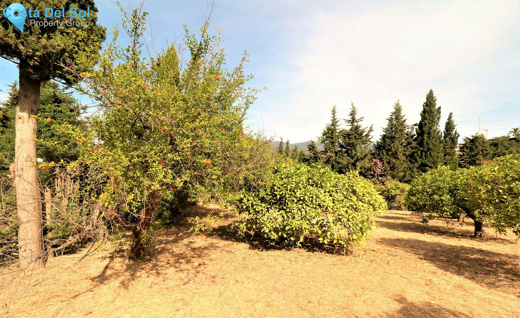 House in El Padron-1272313