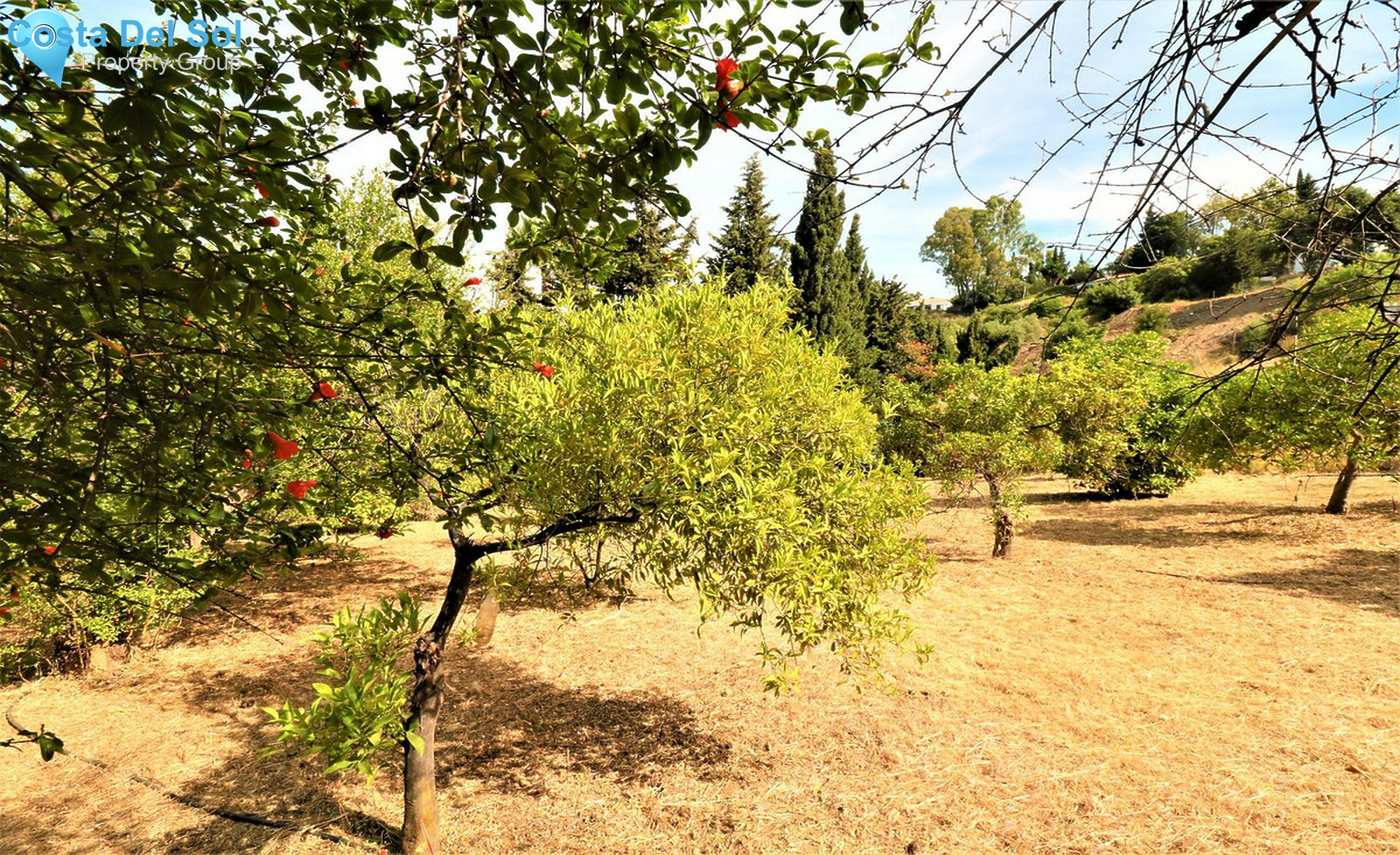 House in El Padron-1272314