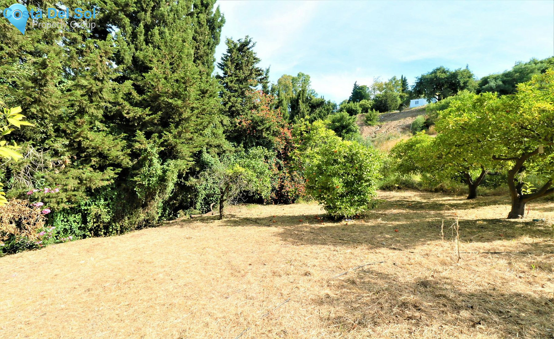 House in El Padron-1272315