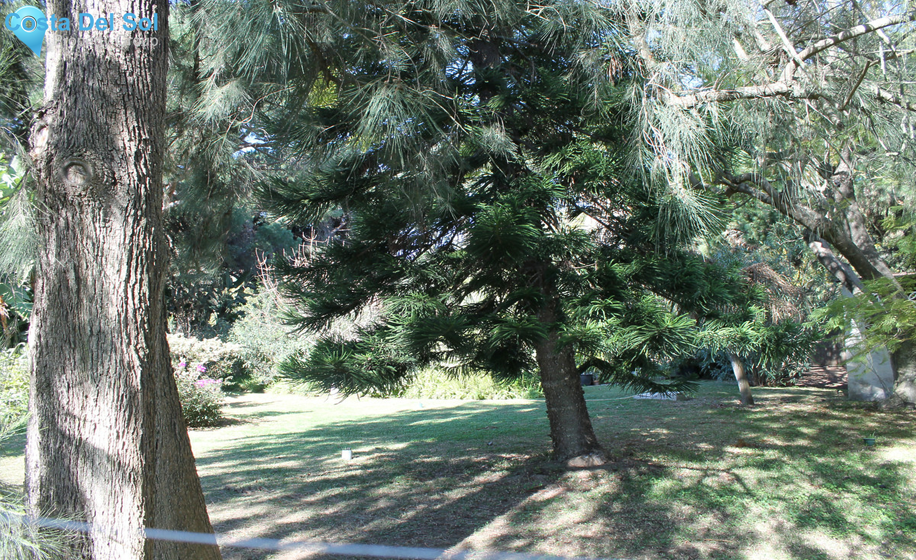 House in Elviria-1306960