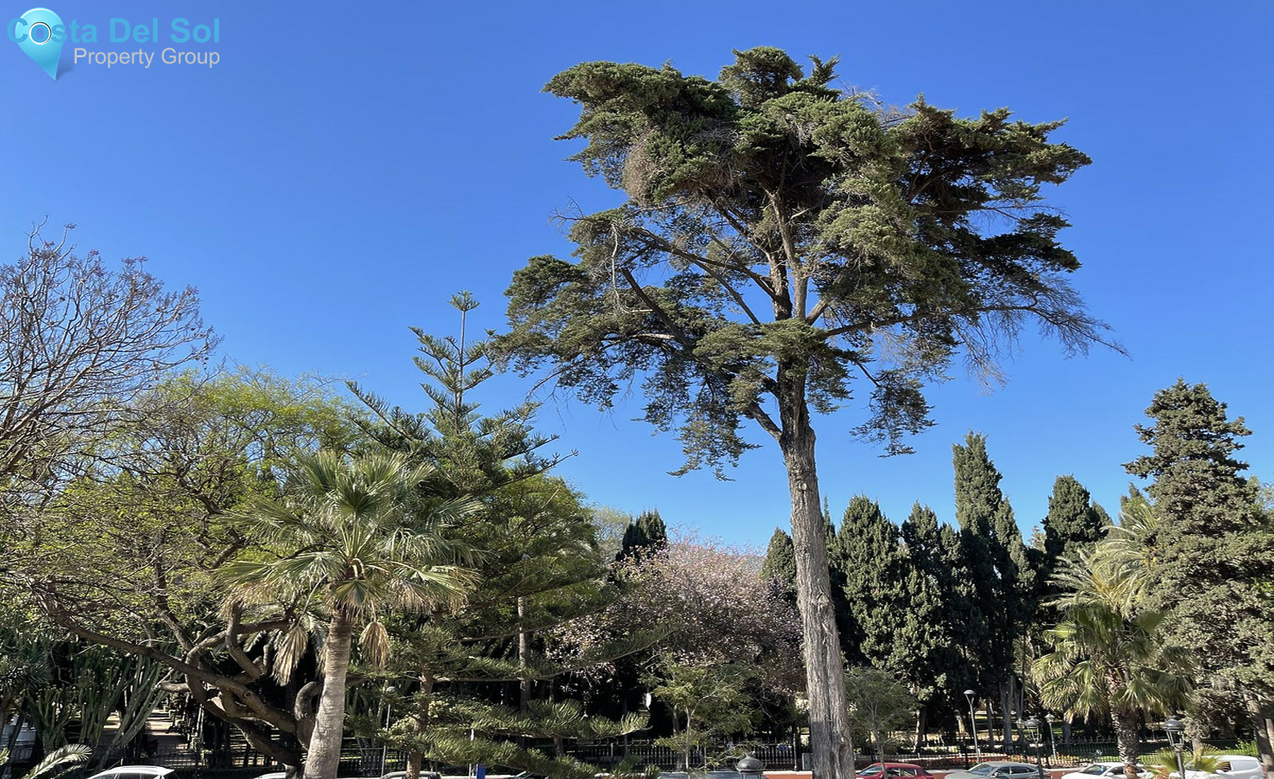 Penthouse in Marbella-1282931