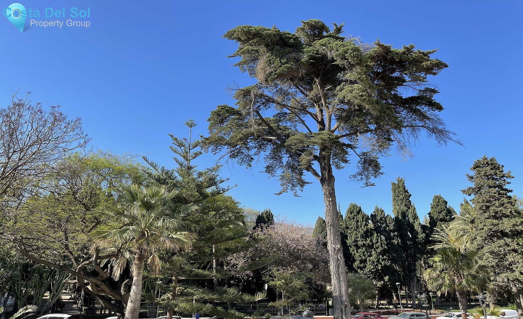 Penthouse in Marbella-1392288