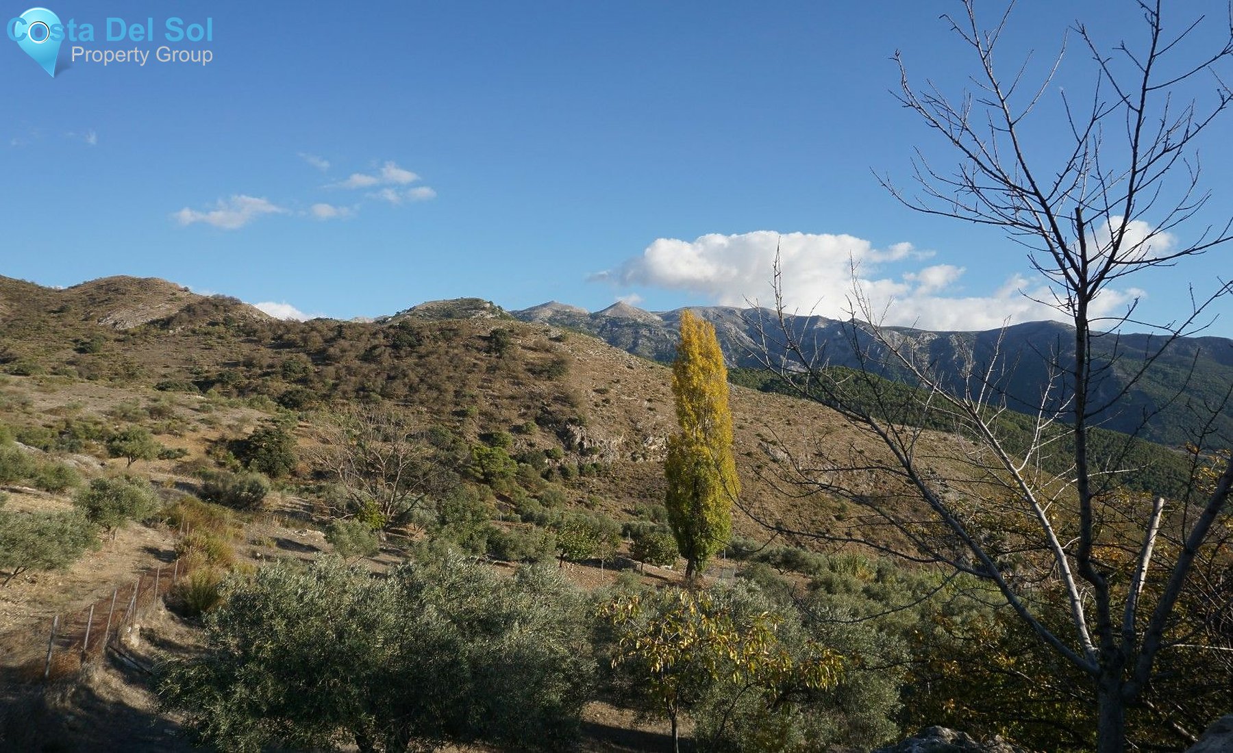 Semi-Detached House in Alcaucín-1186672