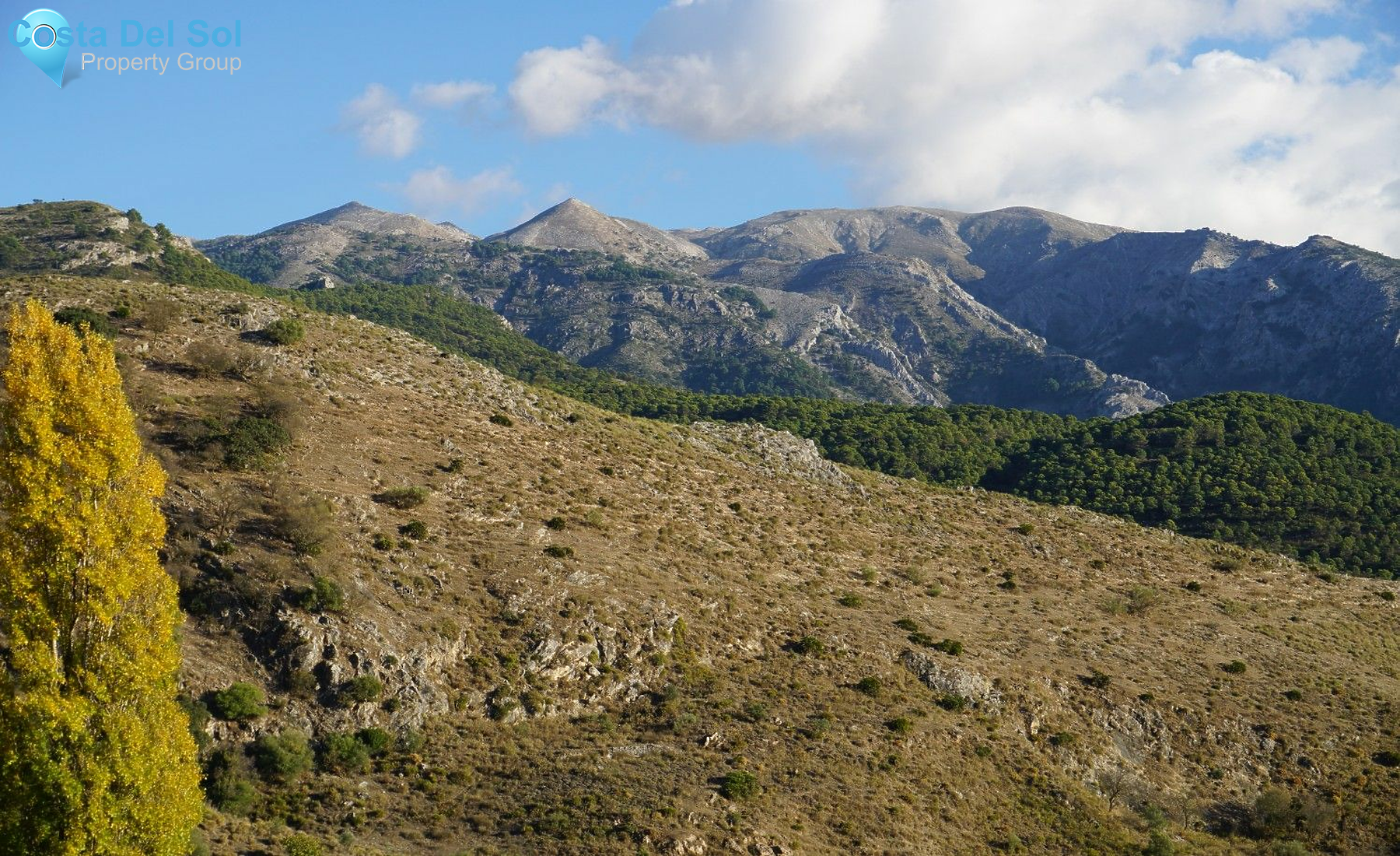 Semi-Detached House in Alcaucín-1186673
