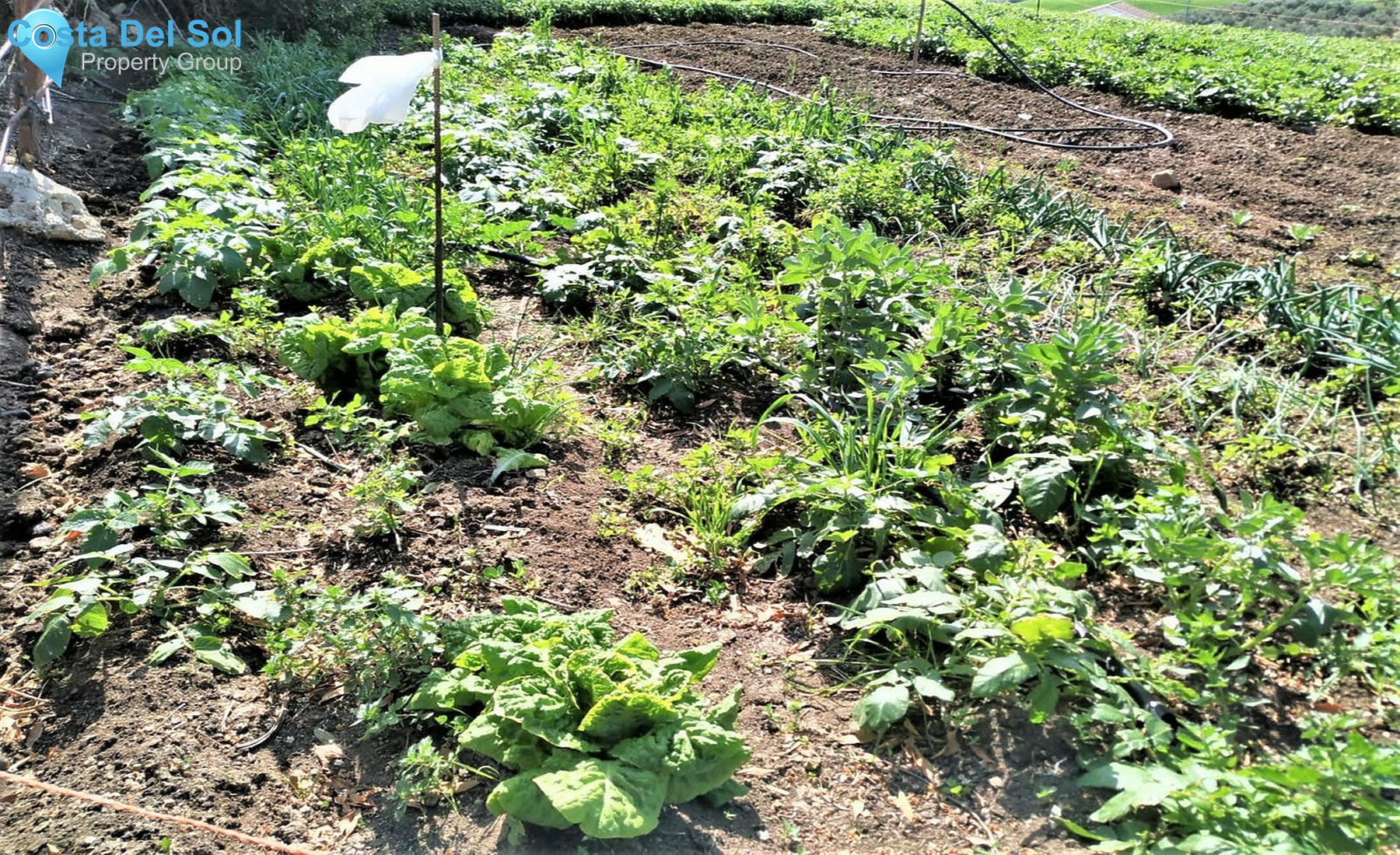 Semi-Detached House in Alora-1298344