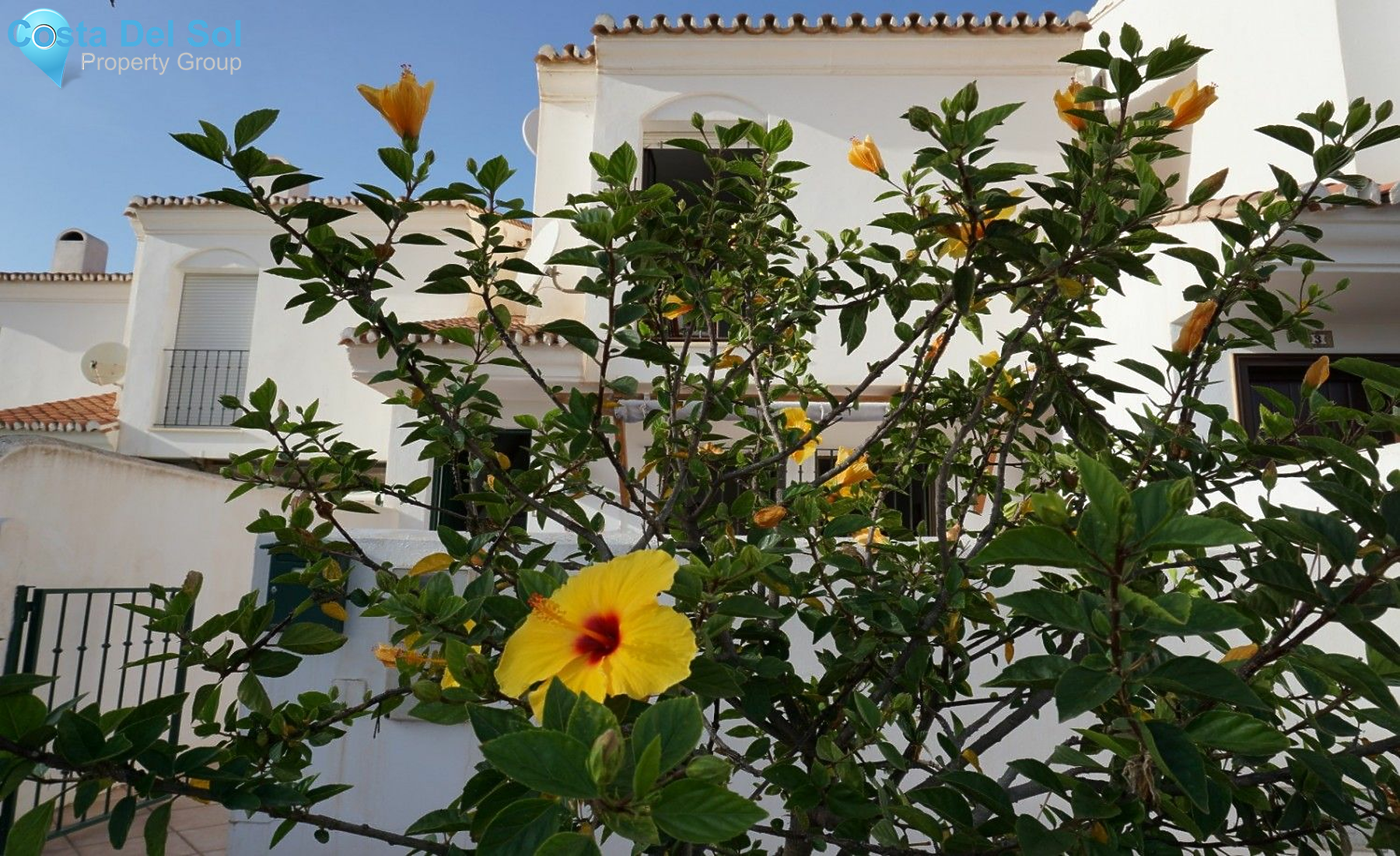 Semi-Detached House in Caleta de Vélez-1488415