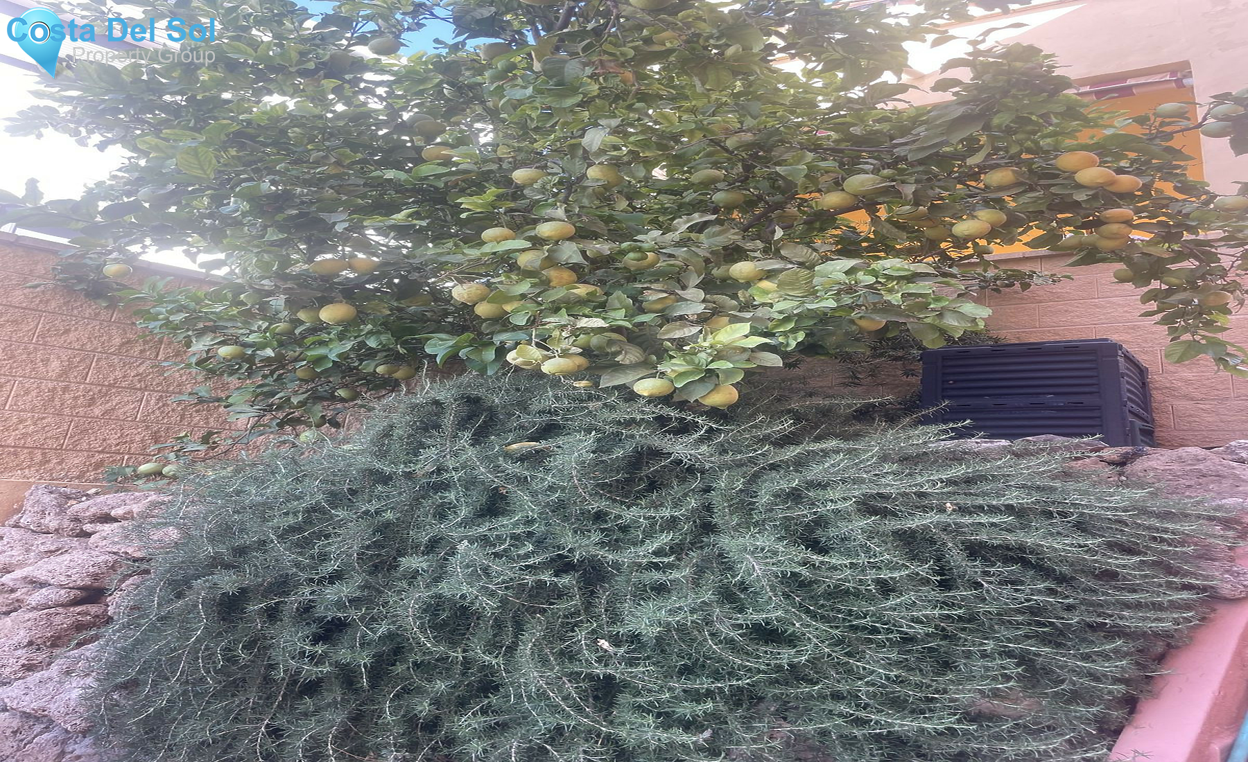 Semi-Detached House in Torreblanca-1477379