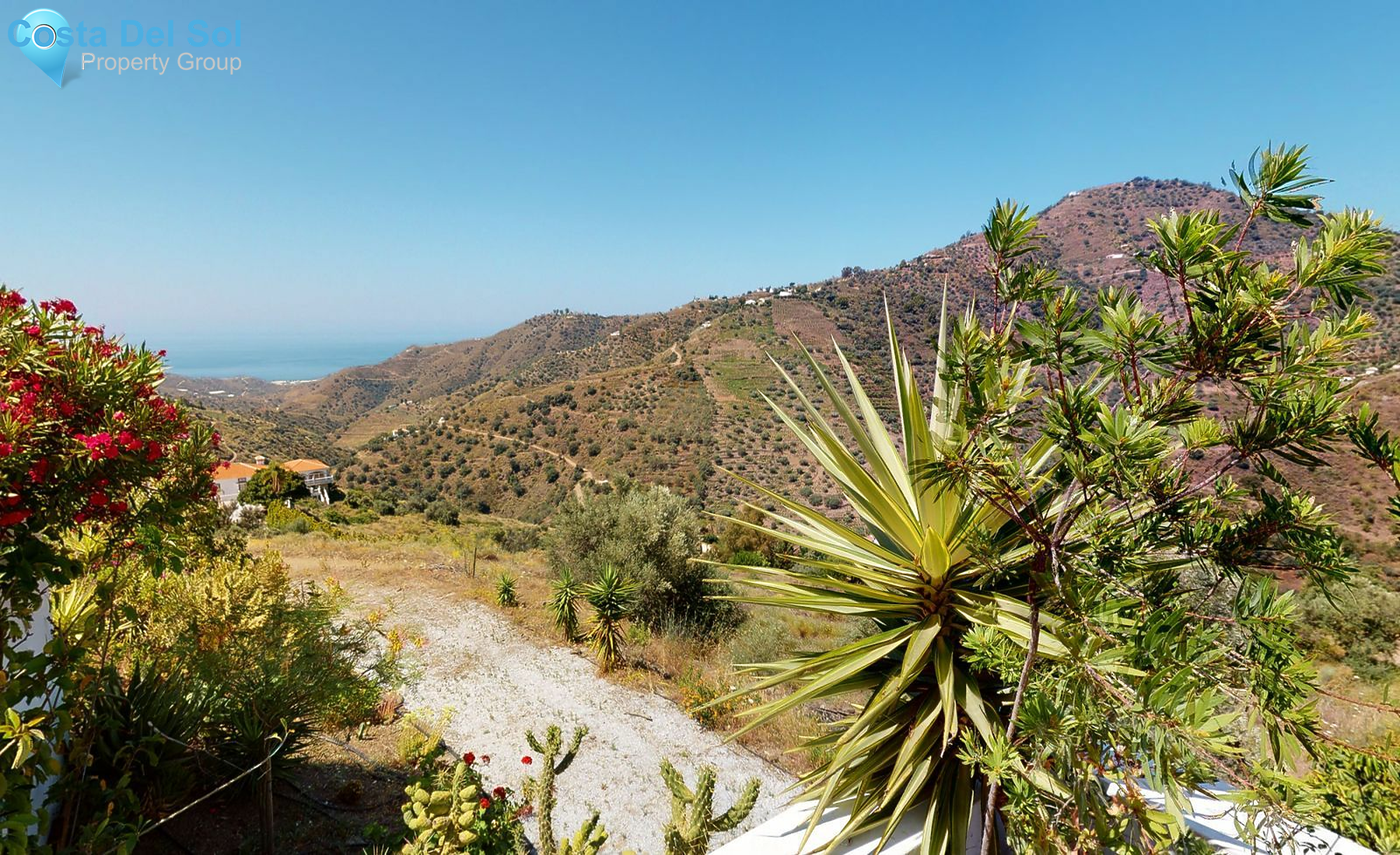 Bed and Breakfast in Cómpeta-1466983