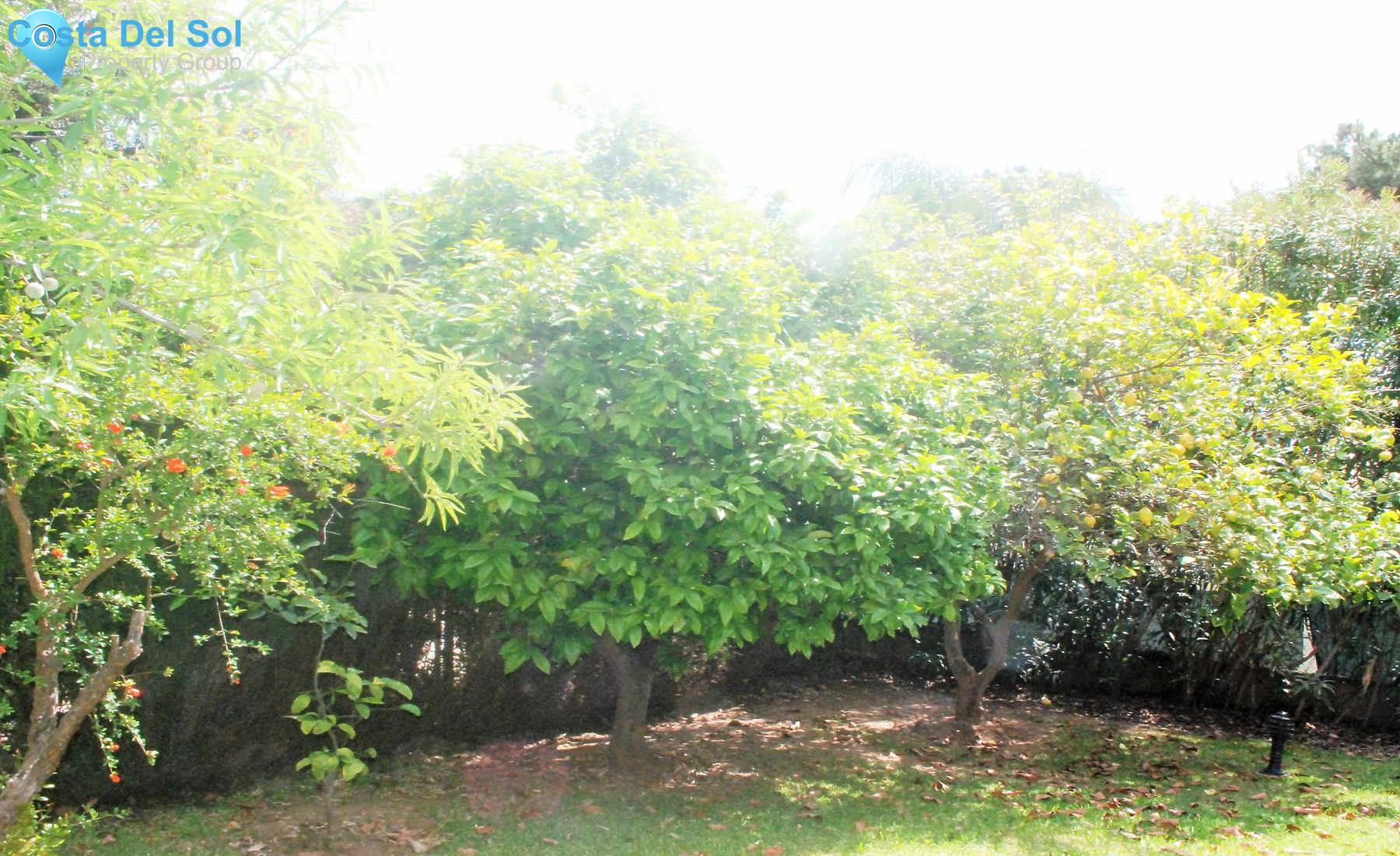 Detached Villa in Las Chapas-1151436