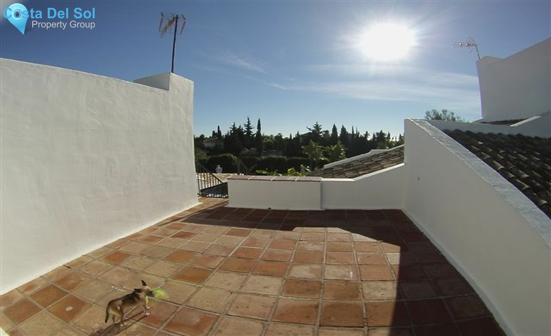 Detached Villa in Marbella-1420754