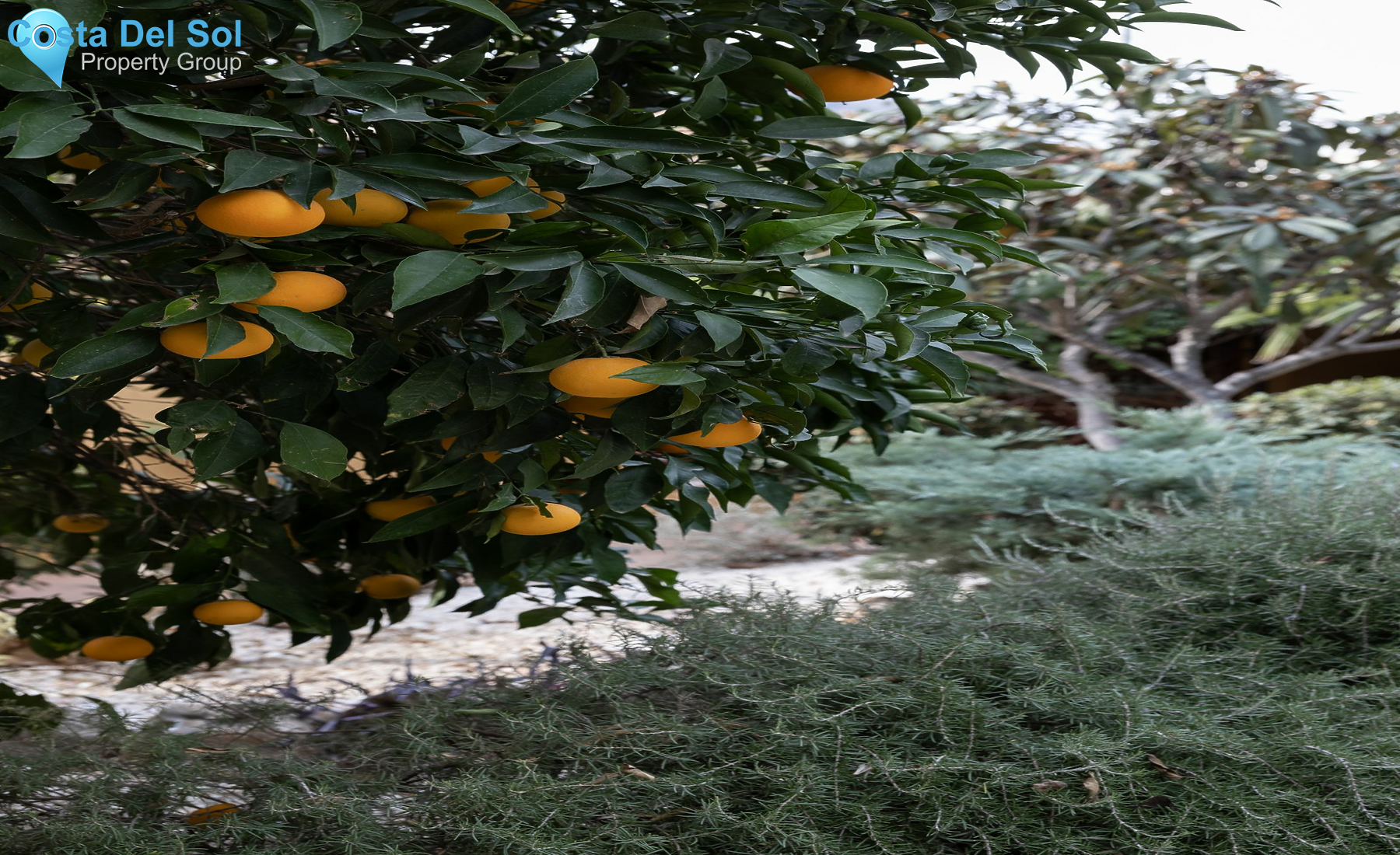 Detached Villa in Torremolinos-1387836