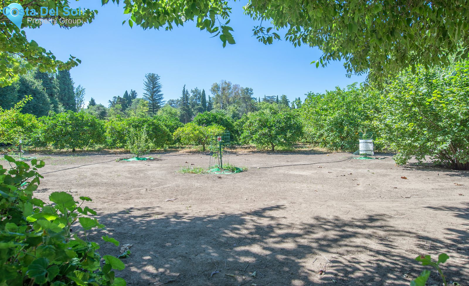 Finca - Cortijo in Alhaurín de la Torre-1213976