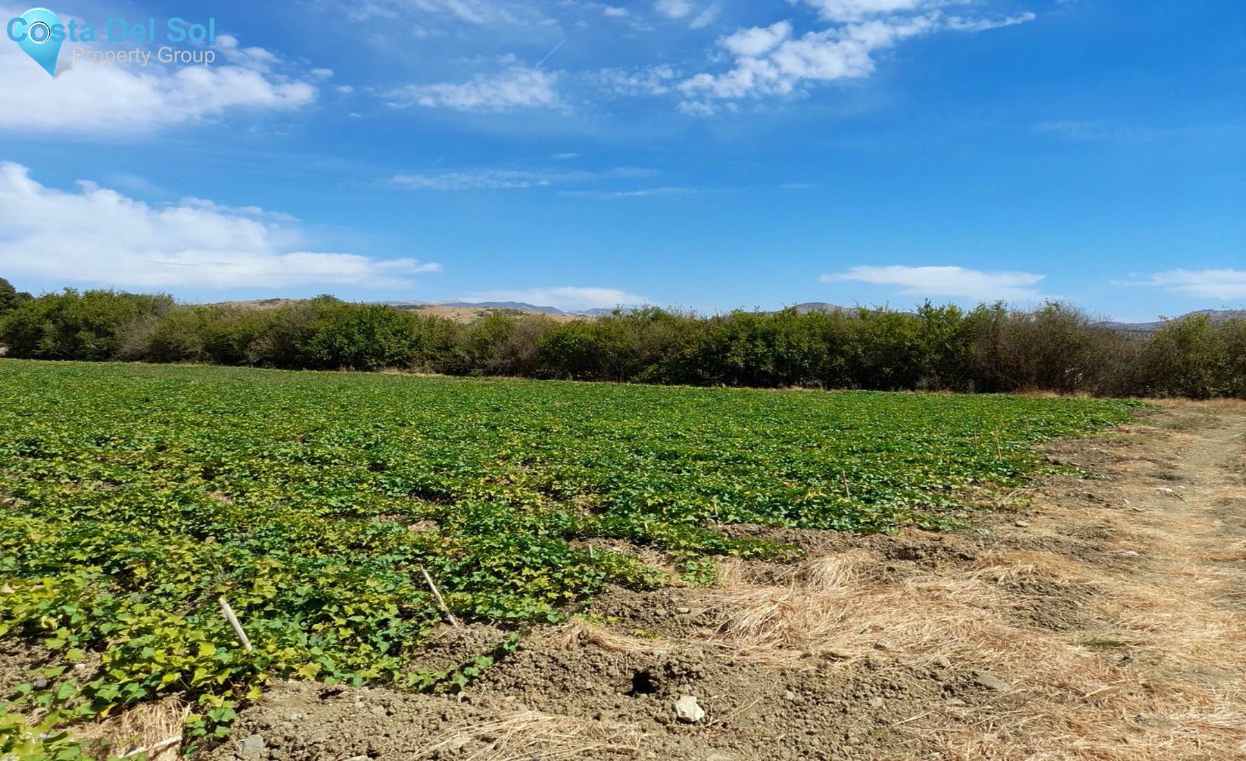 Finca - Cortijo in Alora-1175293