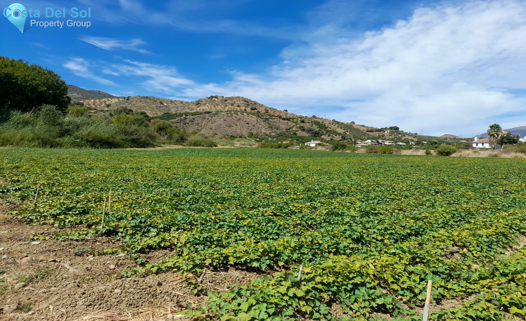 Finca - Cortijo in Alora-1175294