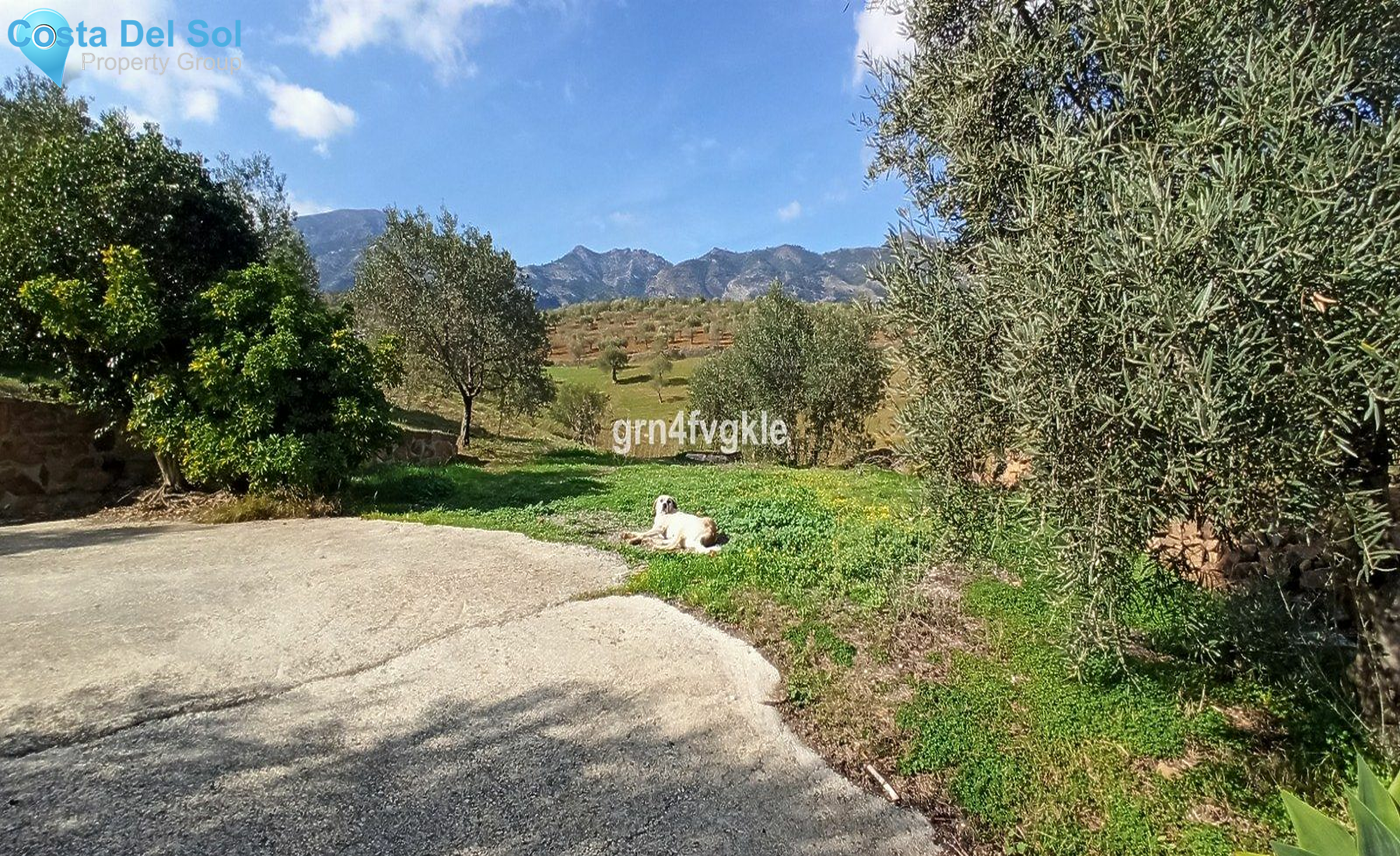 Finca - Cortijo in Casarabonela-1184095