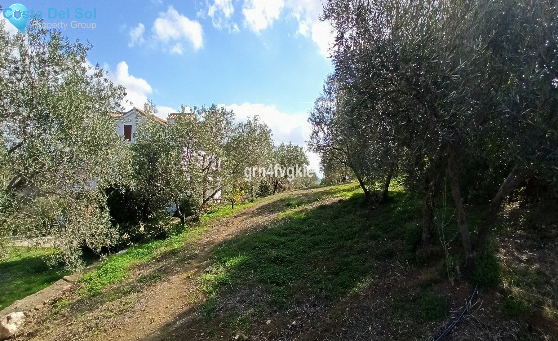 Finca - Cortijo in Casarabonela-1184097