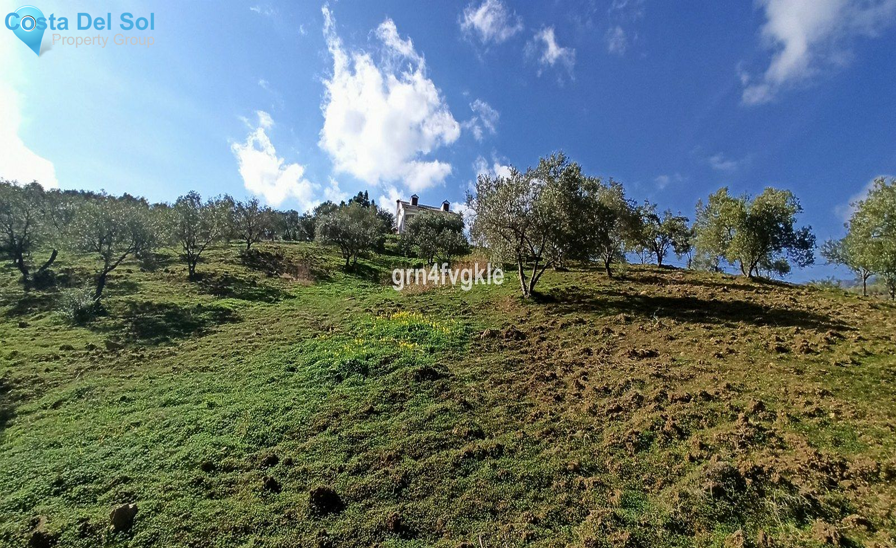 Finca - Cortijo in Casarabonela-1184090