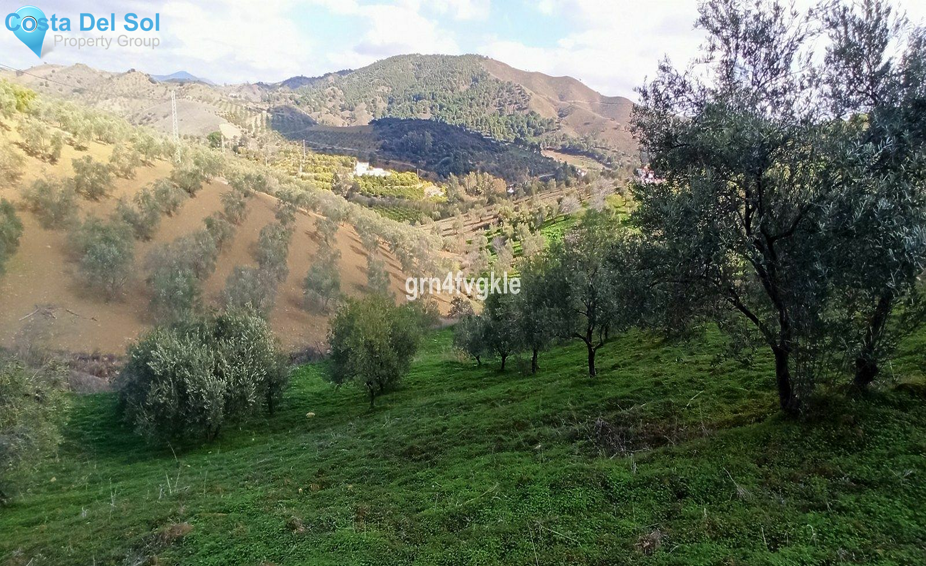 Finca - Cortijo in Casarabonela-1184092