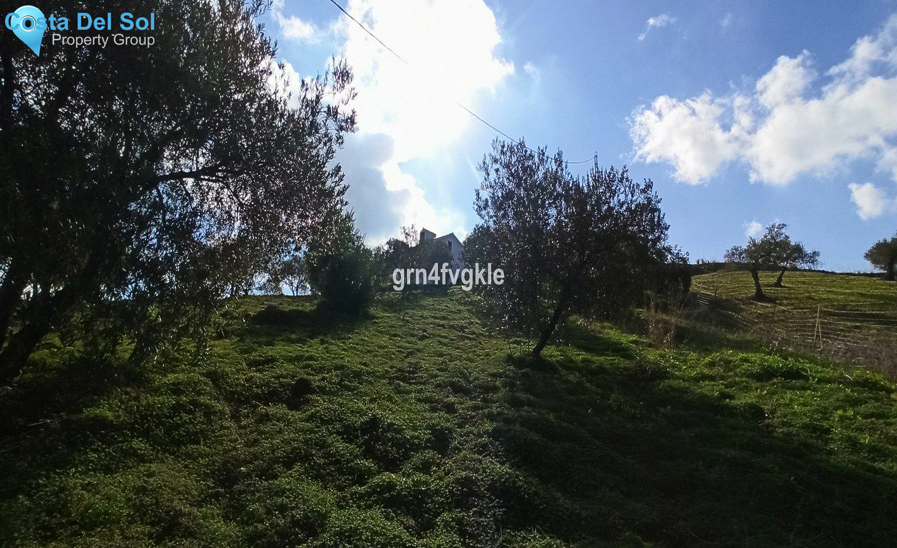 Finca - Cortijo in Casarabonela-1184093