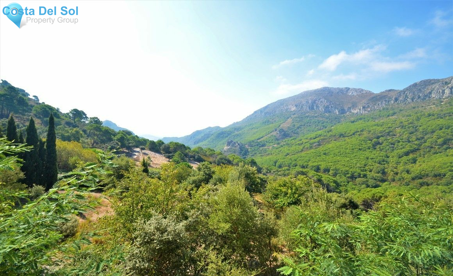 Finca - Cortijo in Casares-1173013