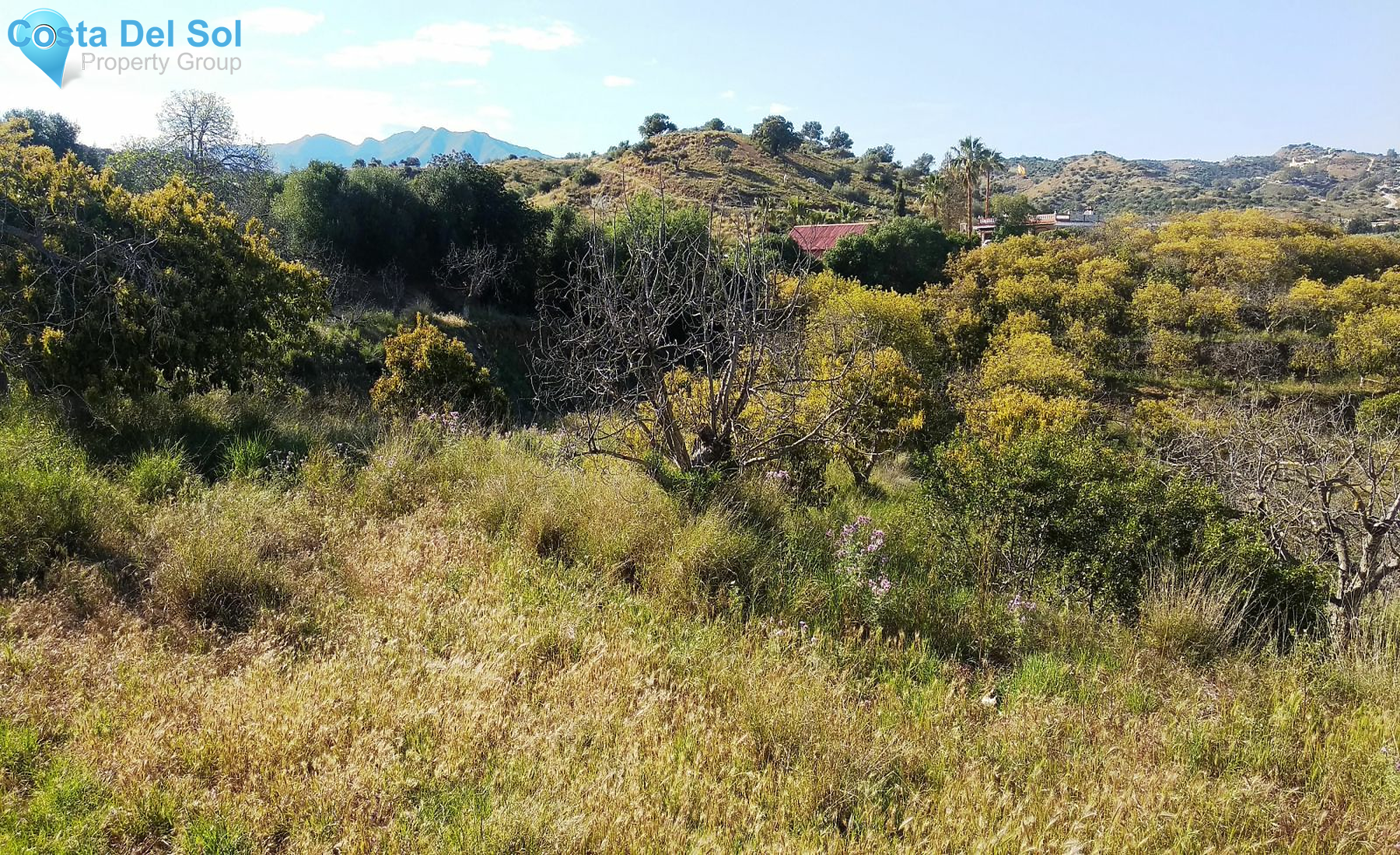 Finca - Cortijo in Entrerrios-1165439