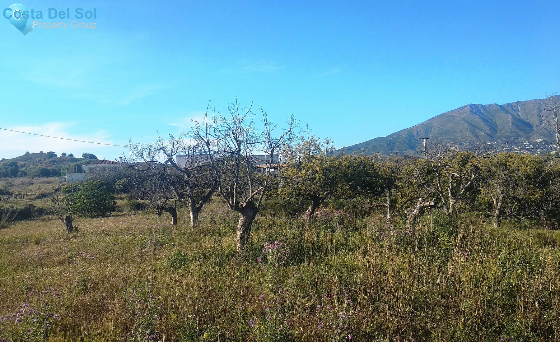 Finca - Cortijo in Entrerrios-1165441