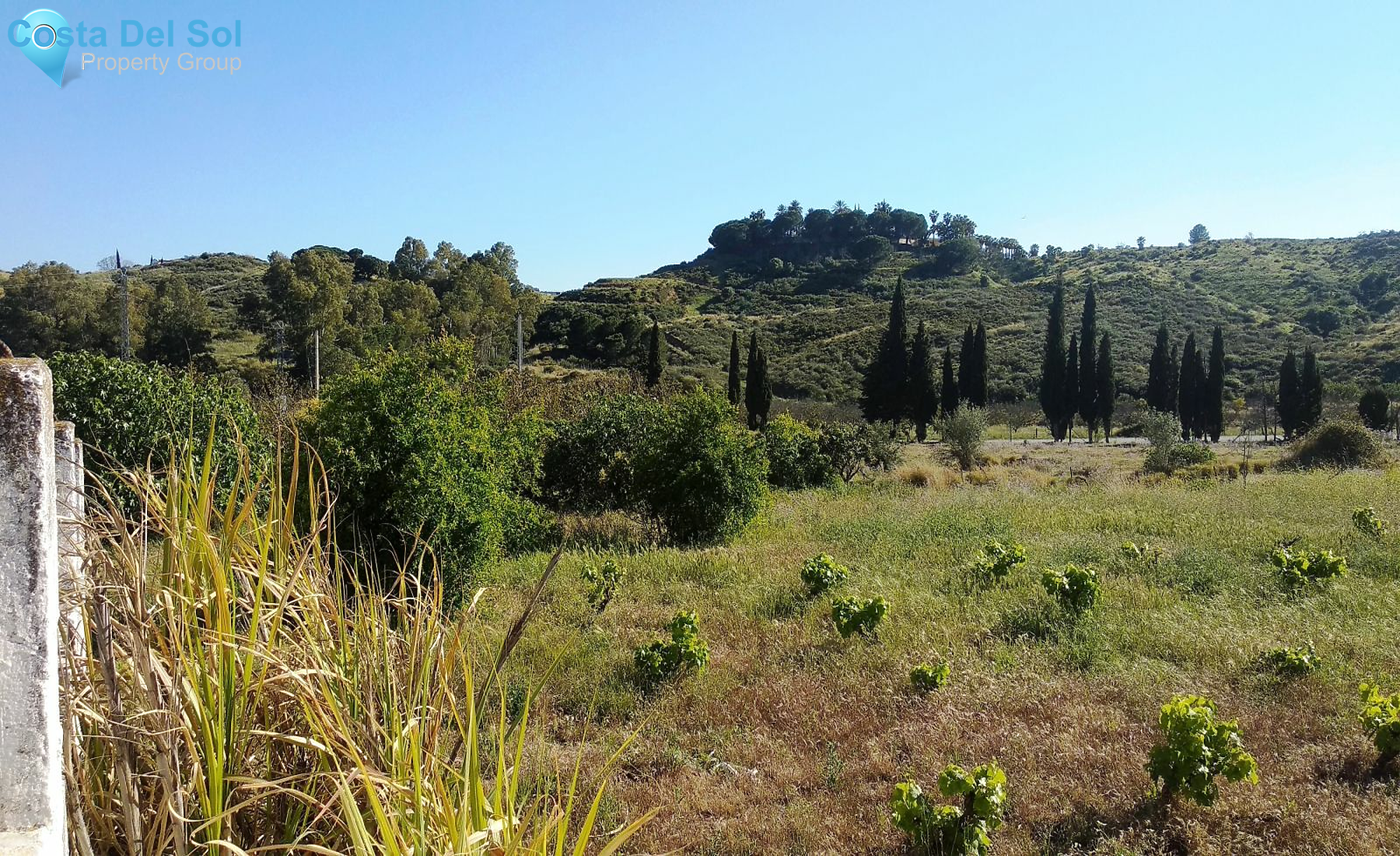 Finca - Cortijo in Entrerrios-1165447