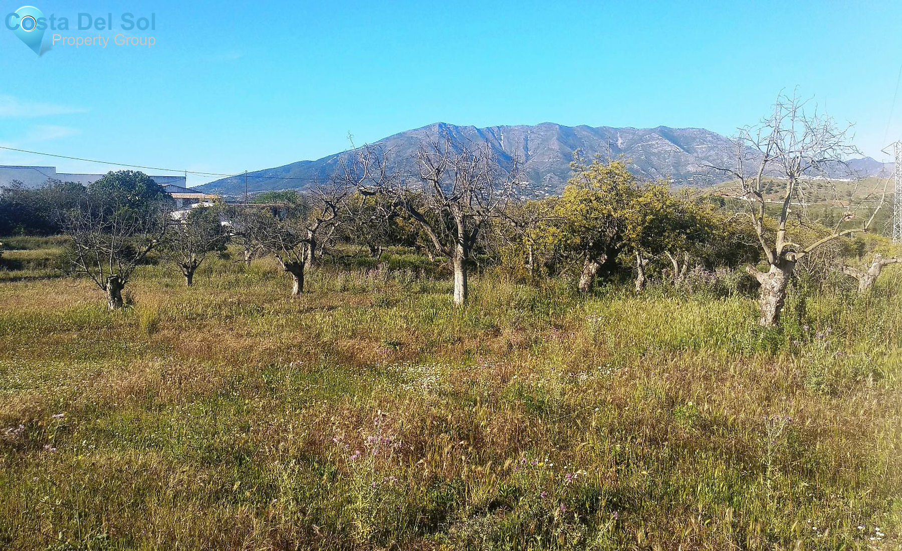 Finca - Cortijo in Entrerrios-1165432