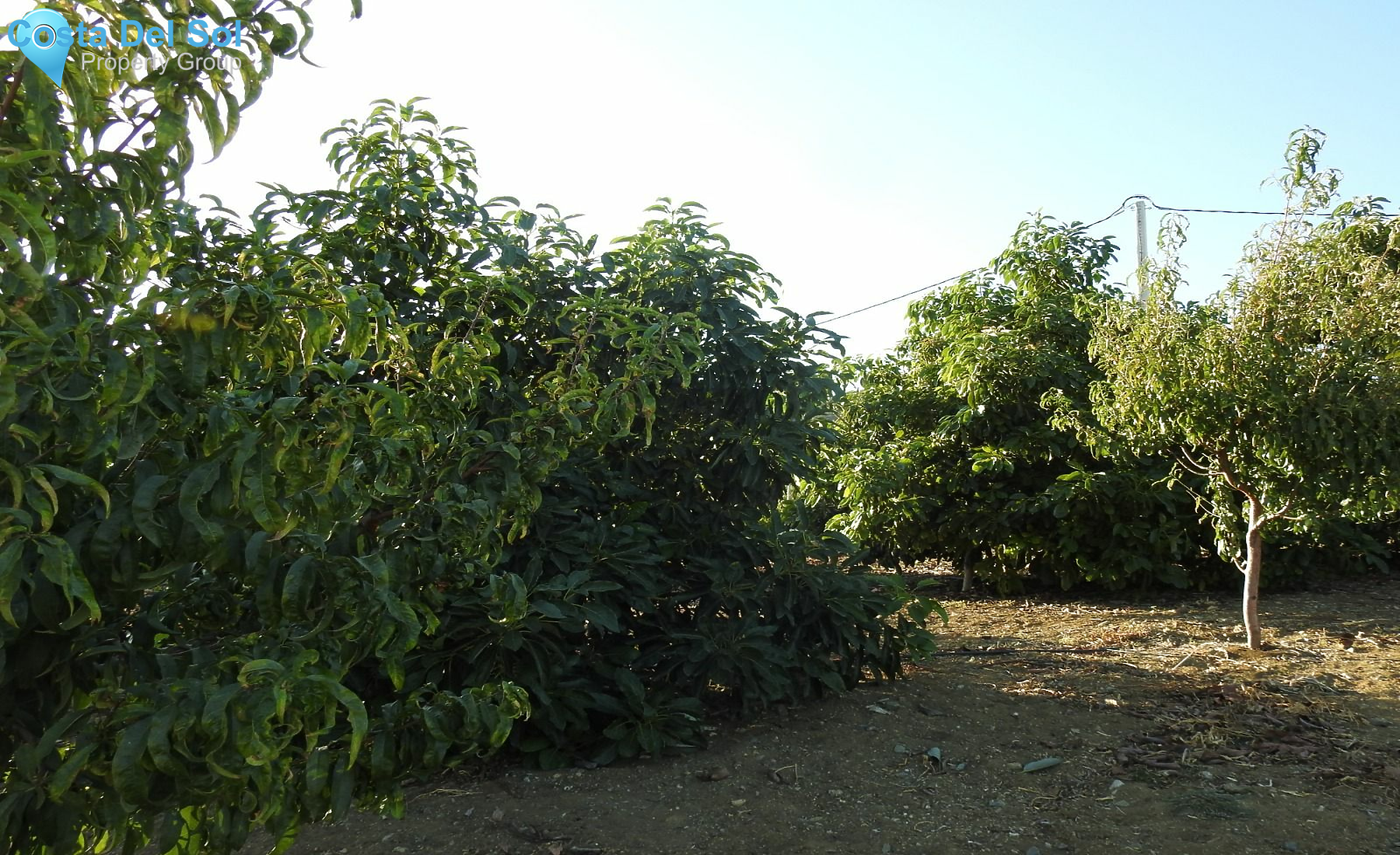 Finca - Cortijo in Estepona-1213111