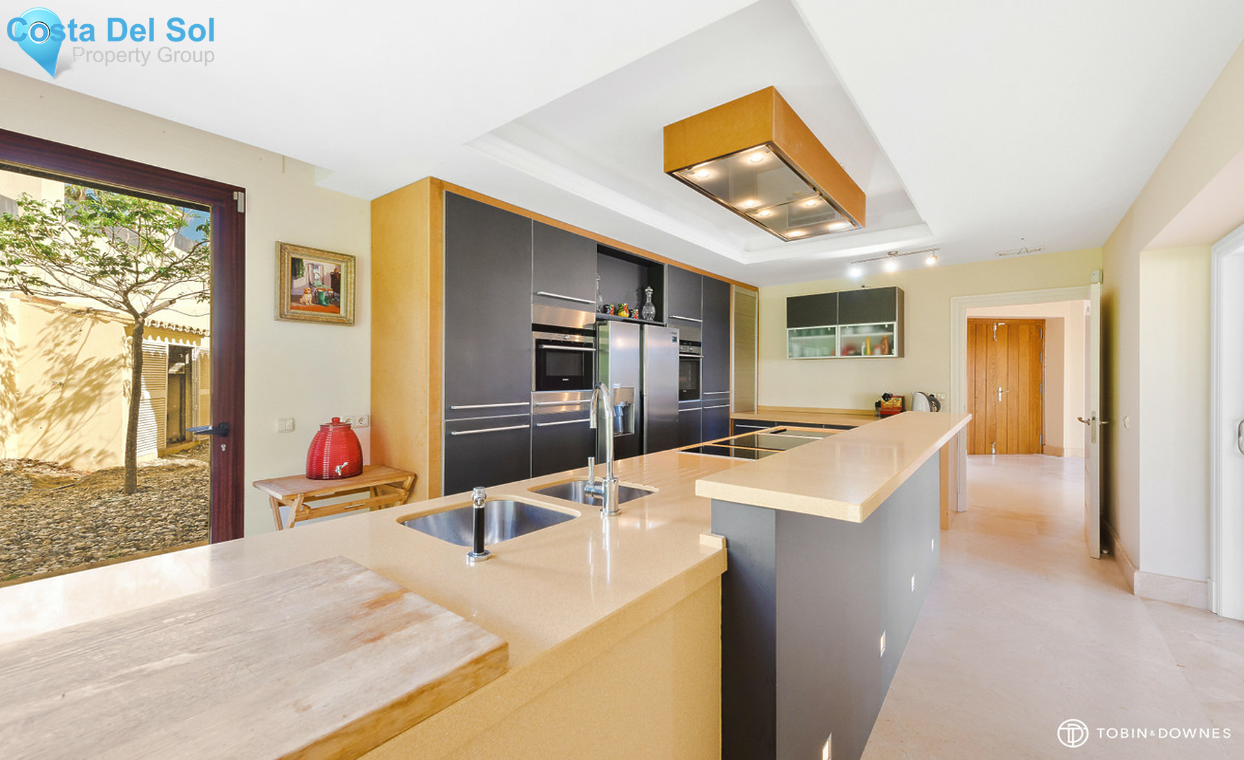 House in Atalaya-1279700