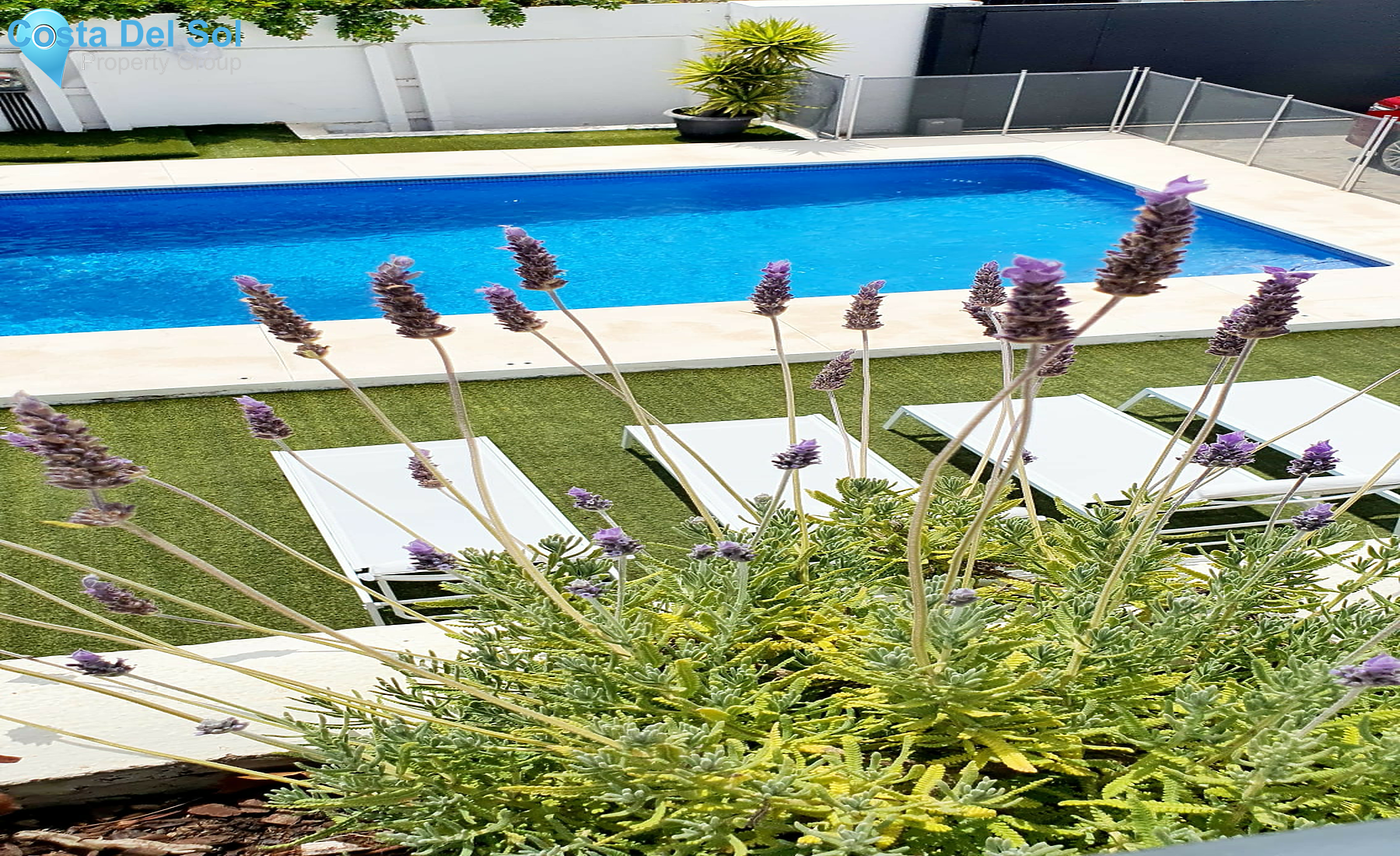 House in Atalaya-1456832