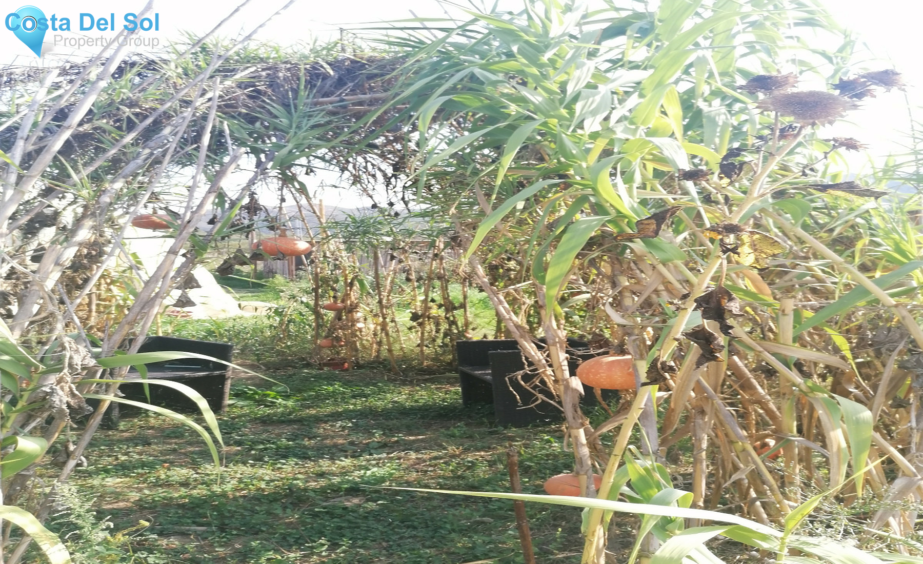 House in Cortes de la Frontera-1378326