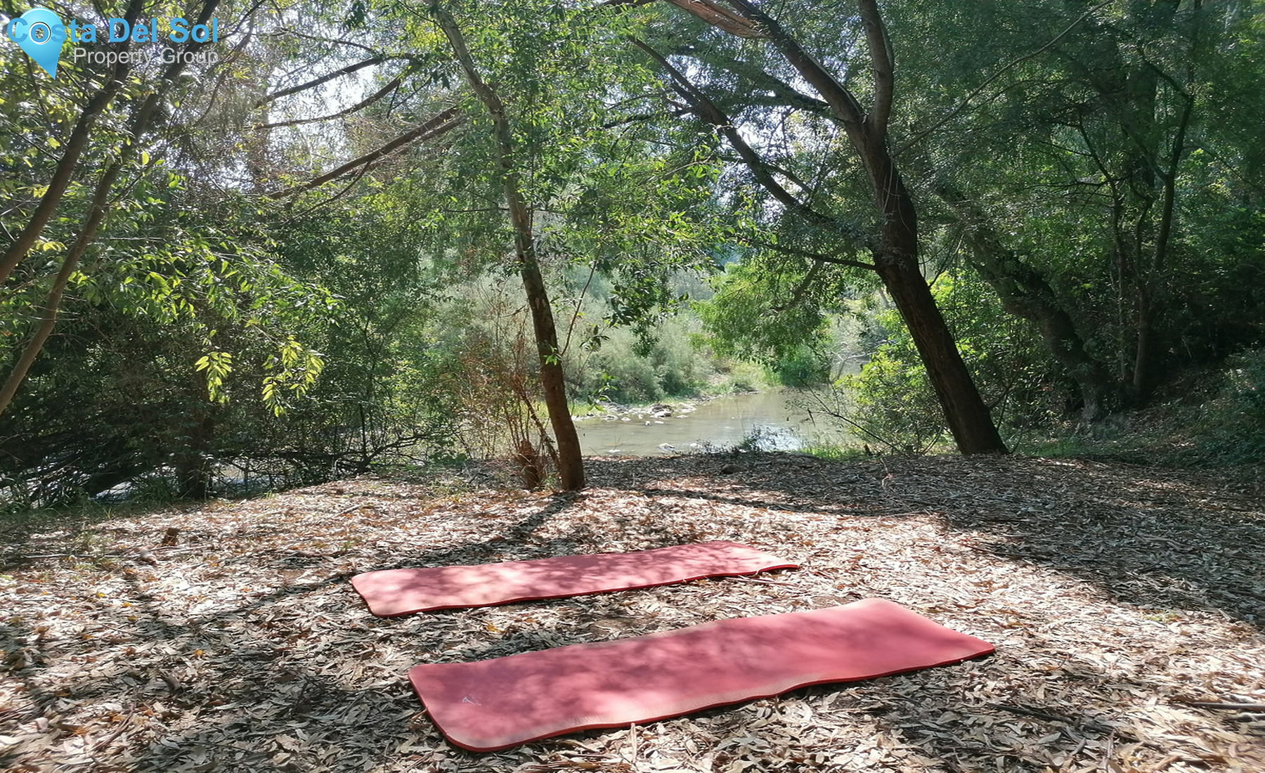 House in Cortes de la Frontera-1378313