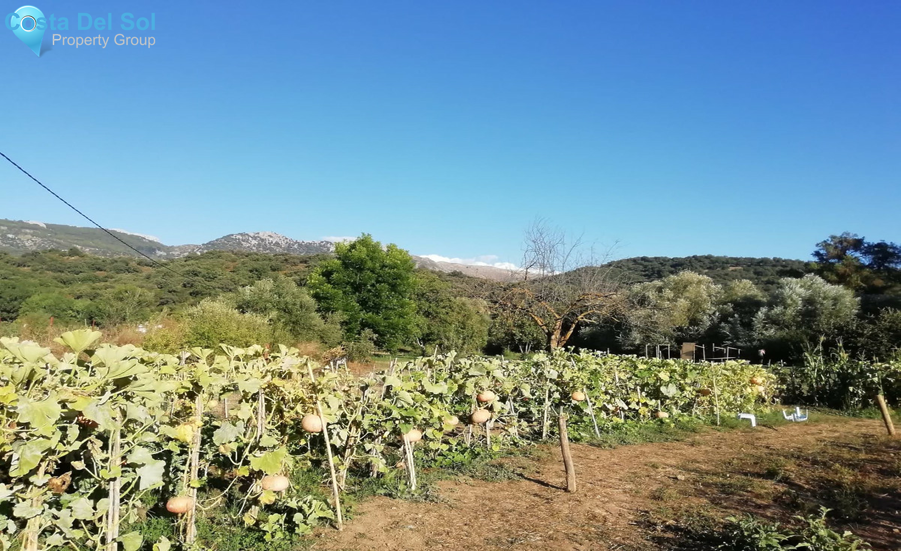 House in Cortes de la Frontera-1378314