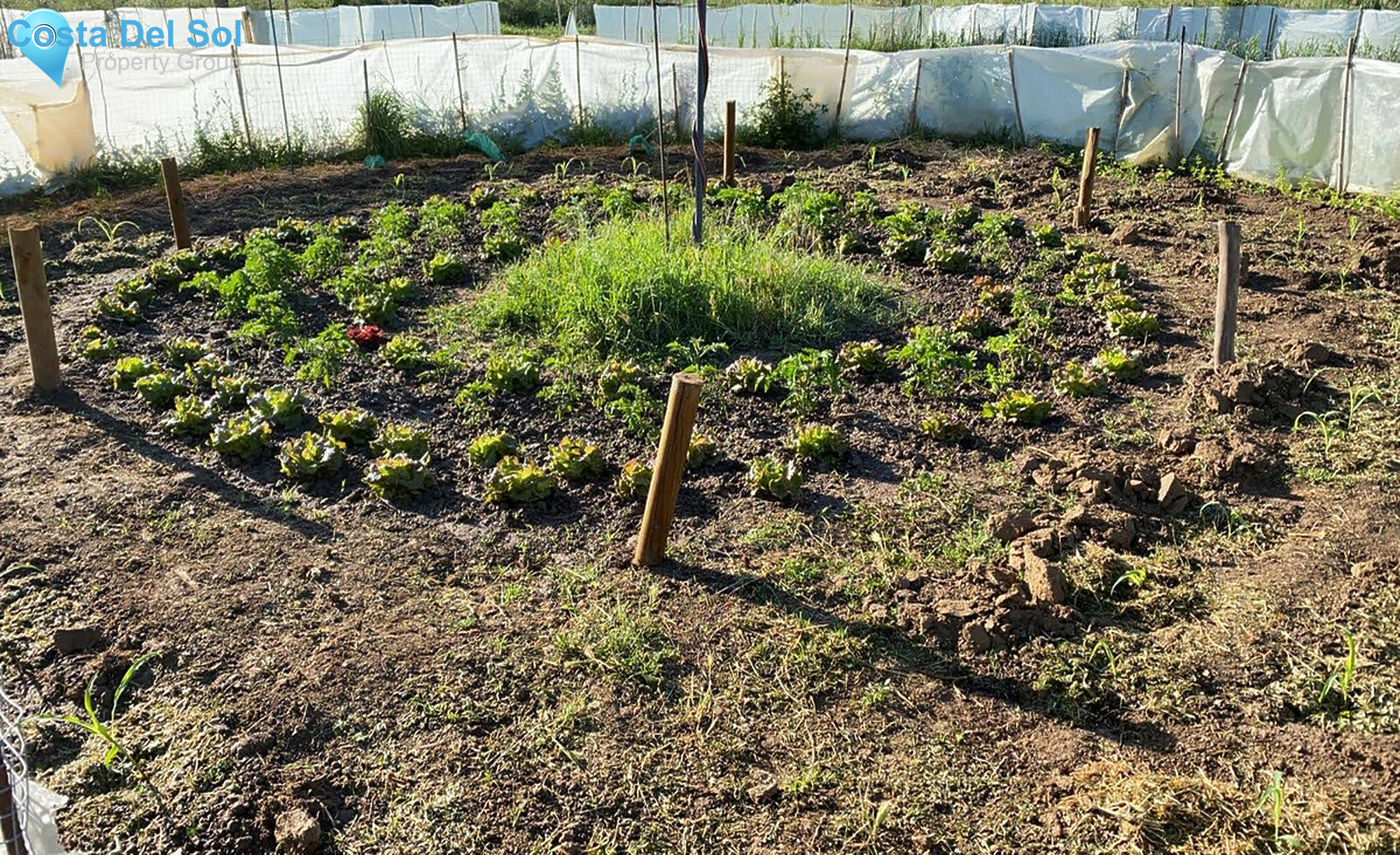 House in Cortes de la Frontera-1378317