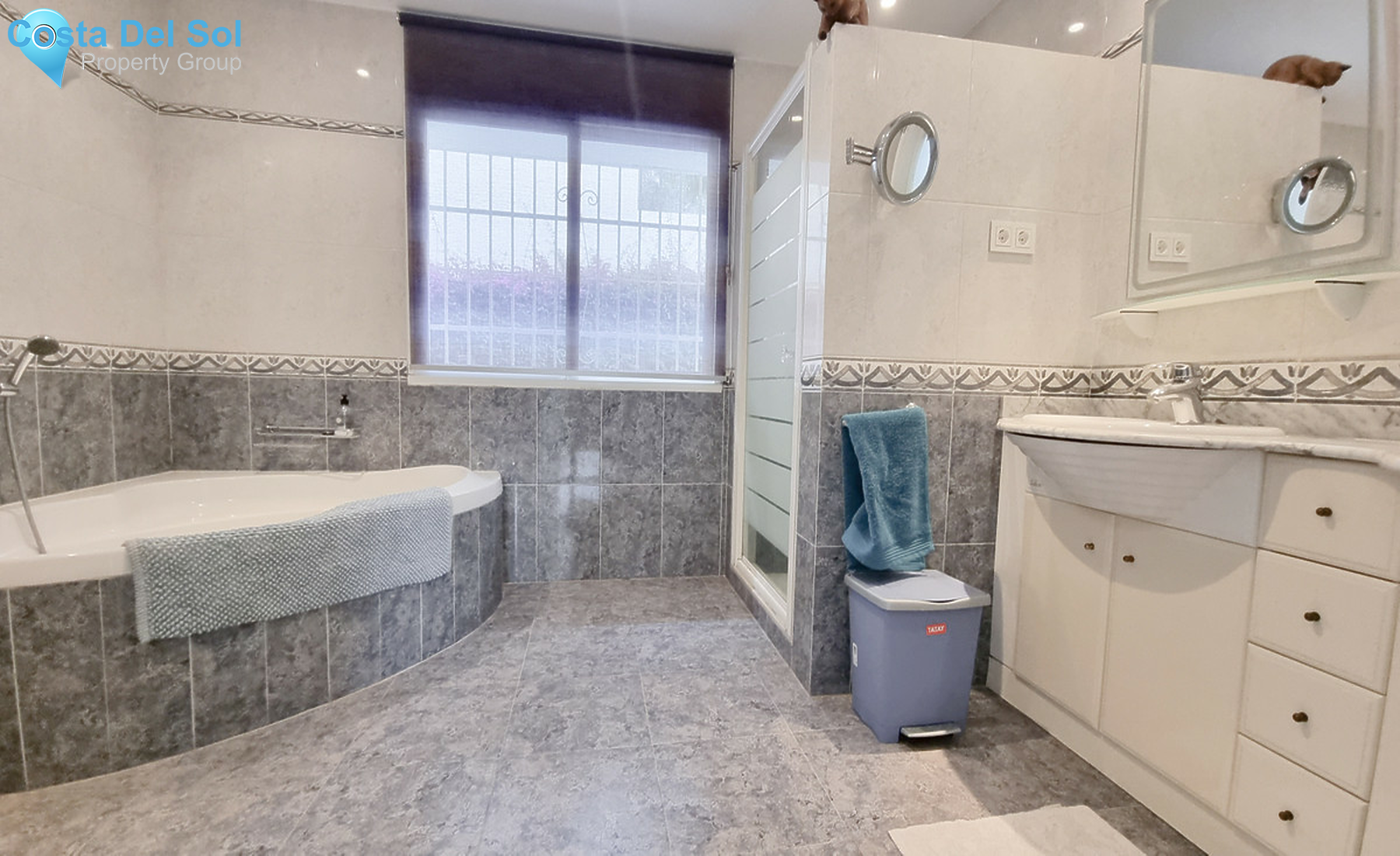 House in El Rosario-1313911