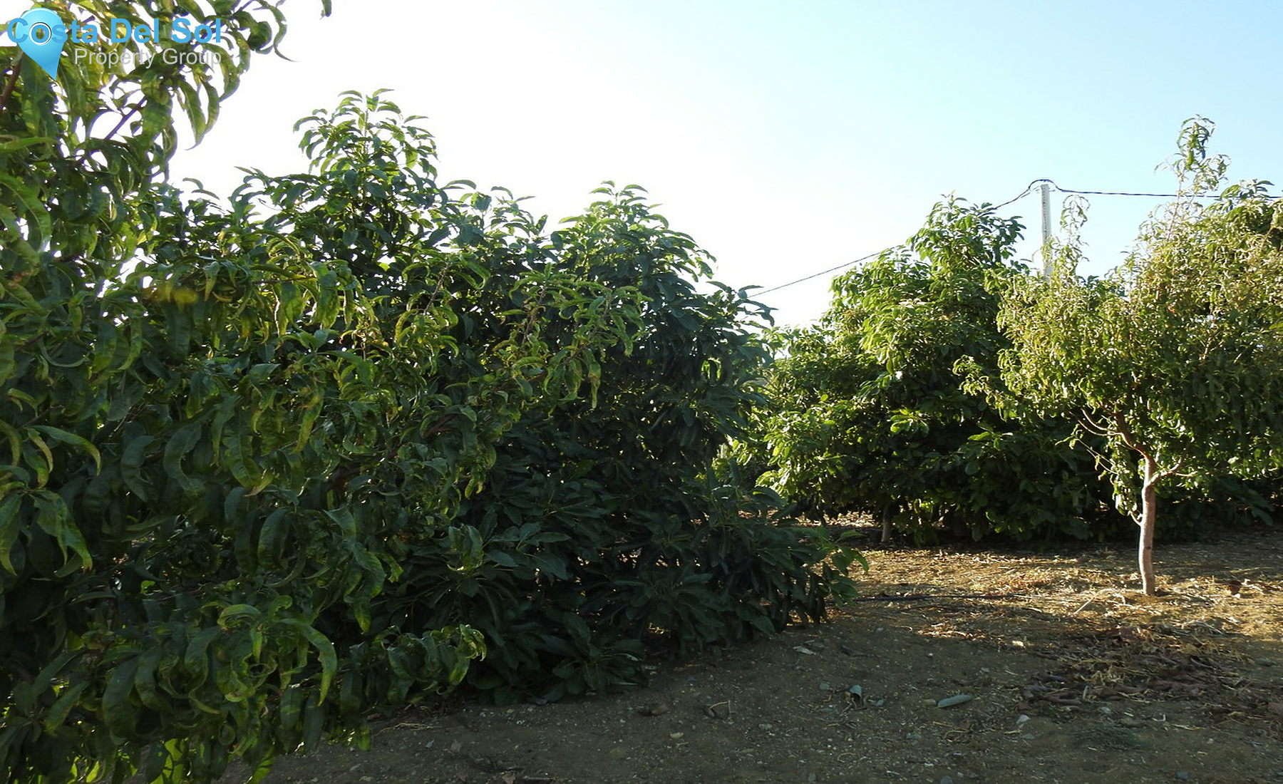 House in Estepona-1332574