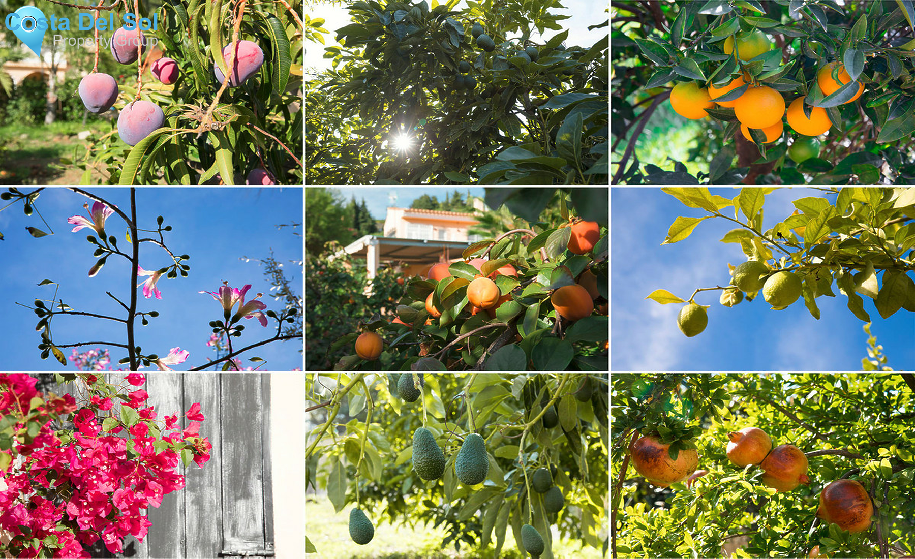 House in Estepona-1333279