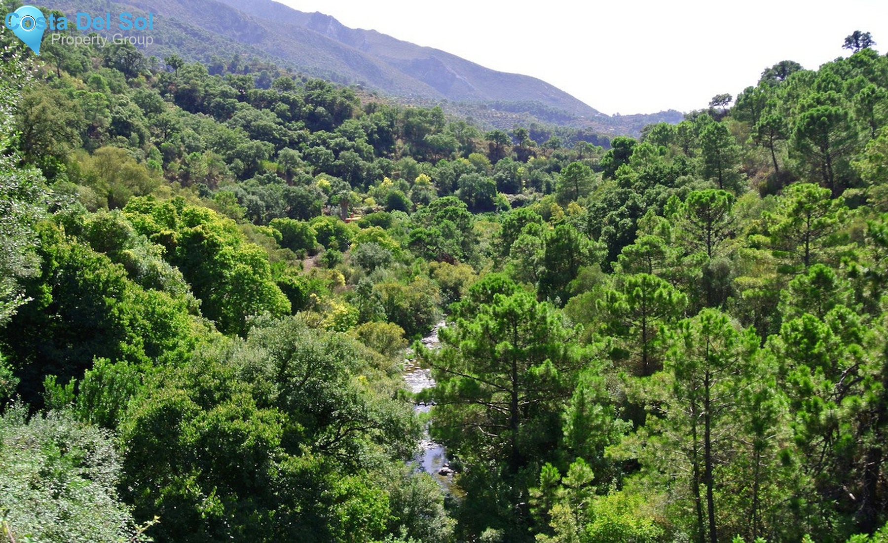 House in Istán-1334223