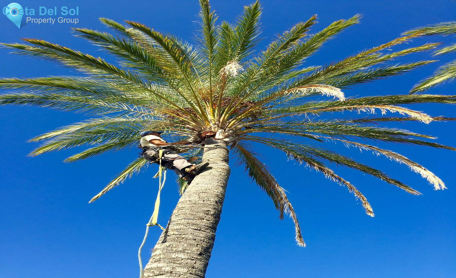 House in Mijas-1403184